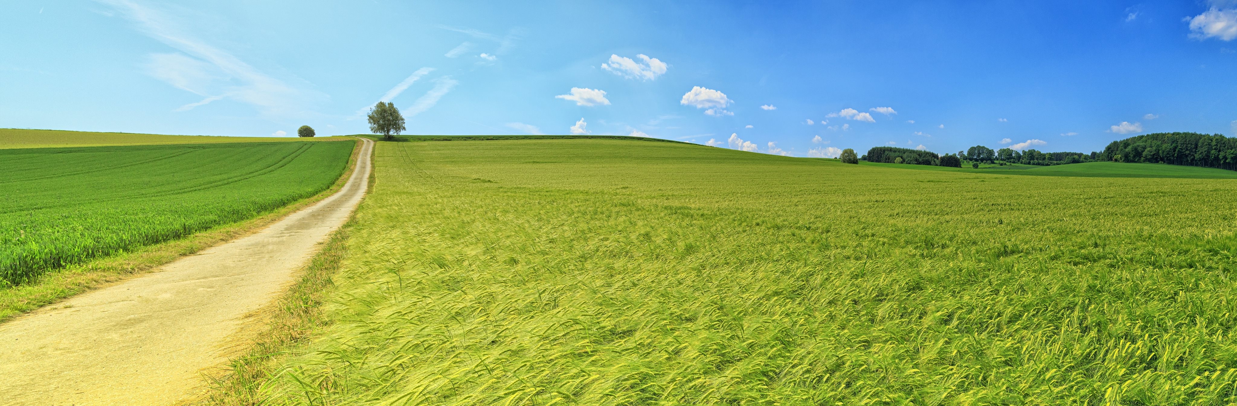 road-in-between-grass-field